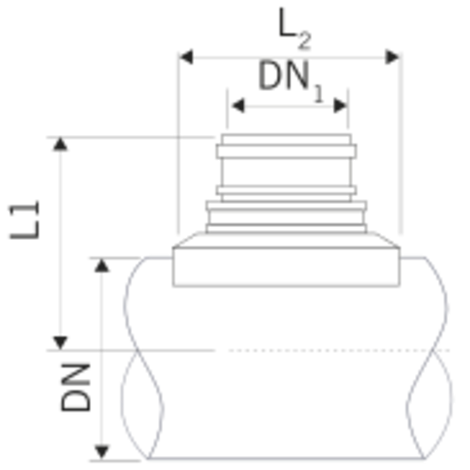 Easy Boss, injerto seguridad.