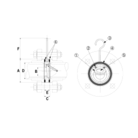 HCBS - Válvula anti-retorno entre bridas CPVC HCBS - Válvula anti-retorno entre bridas CPVC