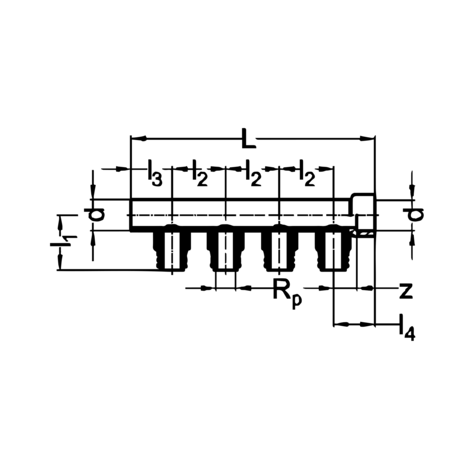 Distributor manifold male threaded outlets.