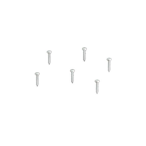 Stainless steel screws (6 units)