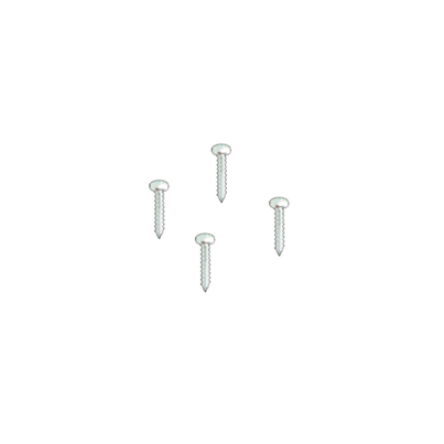 Stainless steel screws (4 units)