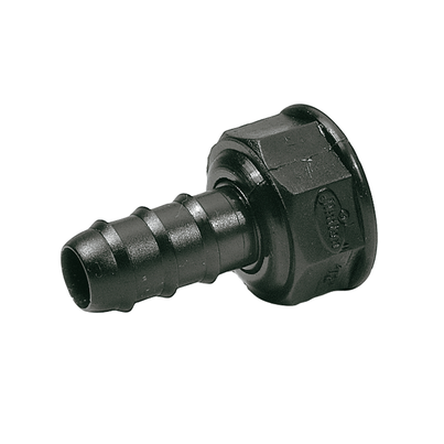 União mista fêmea porca louca